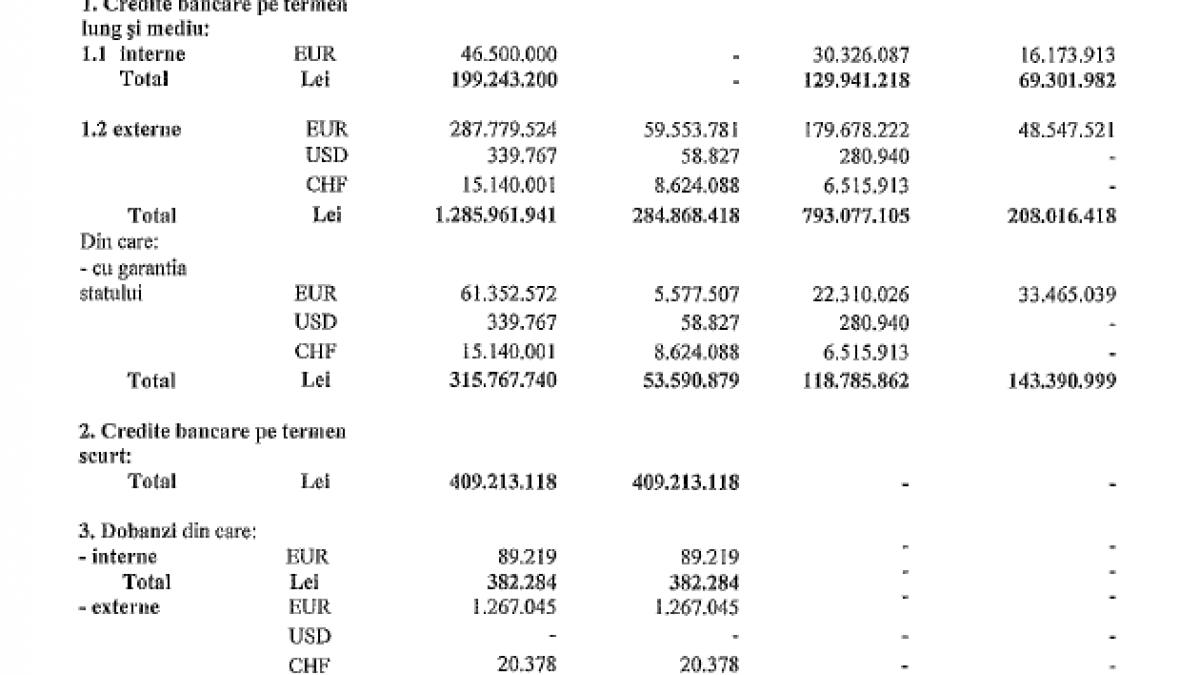 Hidroelectrica intentioneaza sa stranga 200 mil. euro de pe pietele externe printr-o emisiune de bonduri. Compania cauta banca de investitii careia ii va da mandatul sa ii aduca banii necesari pentru investitii