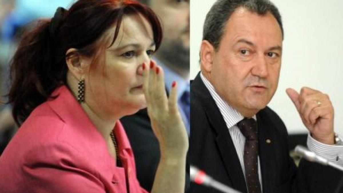 ANI: Deputatul PSD Vasile Bleotu, în incompatibilitate încă din 20 decembrie 2007