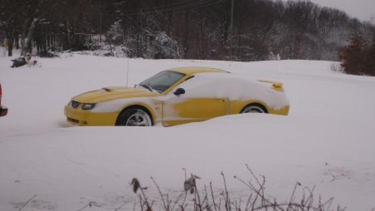 Nămeţii au pus stăpânire pe Austria, Franţa, Germania şi Bulgaria