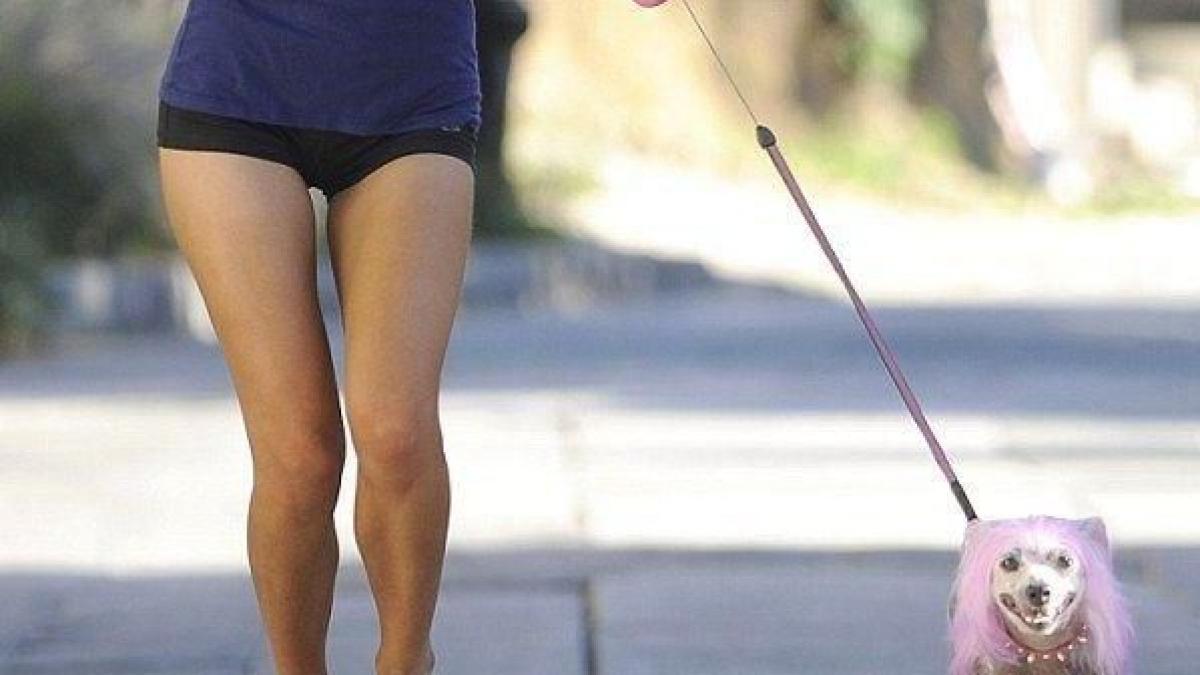 Te doare mintea! Vezi ce &quot;divă&quot; a ieşit la jogging pe tocuri de 15 cm, coafată şi cu un căţel roz în lesă