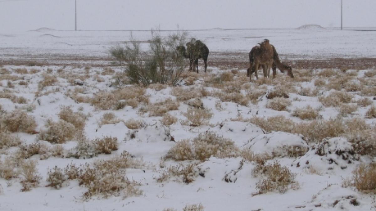 Peisajul care i-a lăsat pe toţi mască. Schimbările climatice au dus la acest paradox