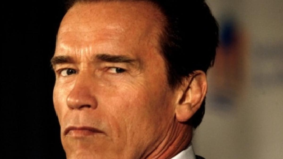 Arnold Schwarzenegger, vizită surpriză într-un orăşel din ţara sa natală: Promovează energia verde