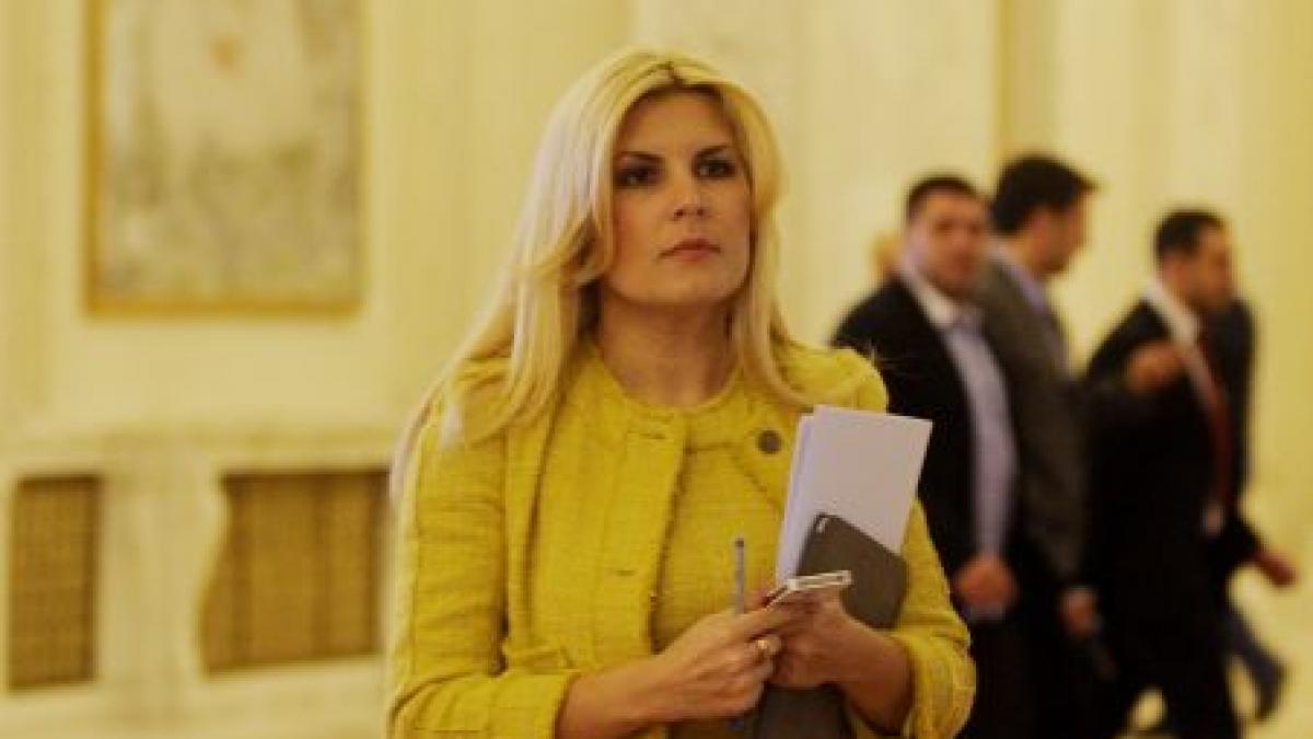 Udrea: Guvernul Boc a pus colacul de salvare peste România. Şi-a sacrificat voturile pentru a lua măsuri care să salveze ţara