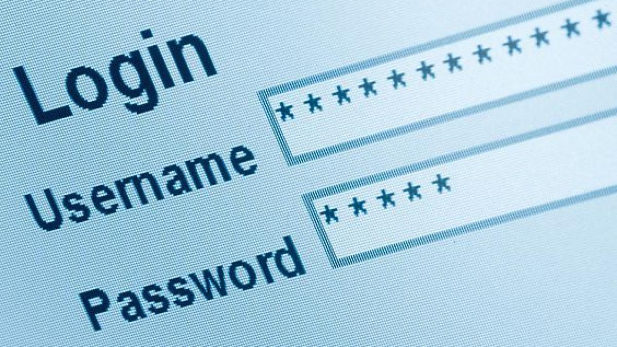 Google, Facebook şi Microsoft colaborează pentru a combate atacurile de tip &quot;phishing&quot;