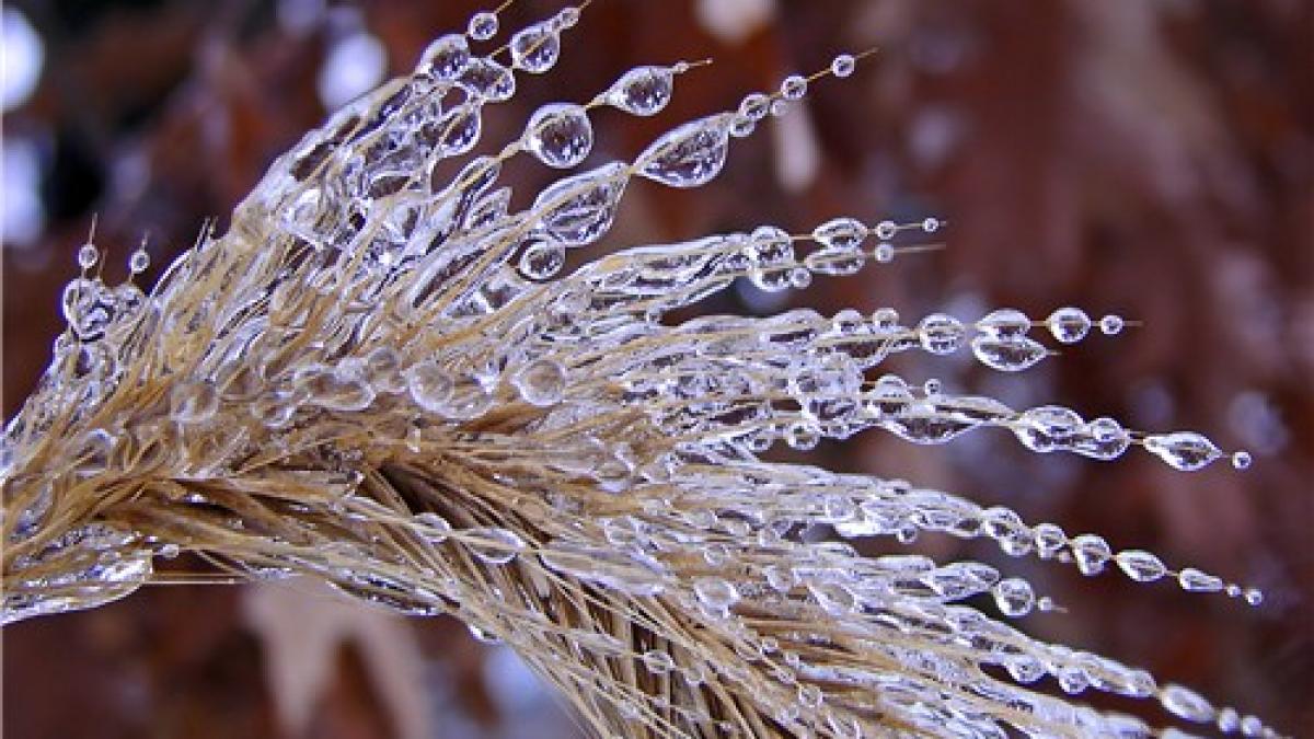 Fenomenul &quot;freezing rain&quot; în Bucureşti. ANM: Este posibil să apară pe o zonă mai extinsă decât se estimase iniţial