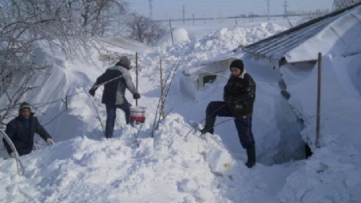 Autorităţile din Focşani au cerut ajutorul armatei pentru deszăpezire. Nămeţii au atins doi metri