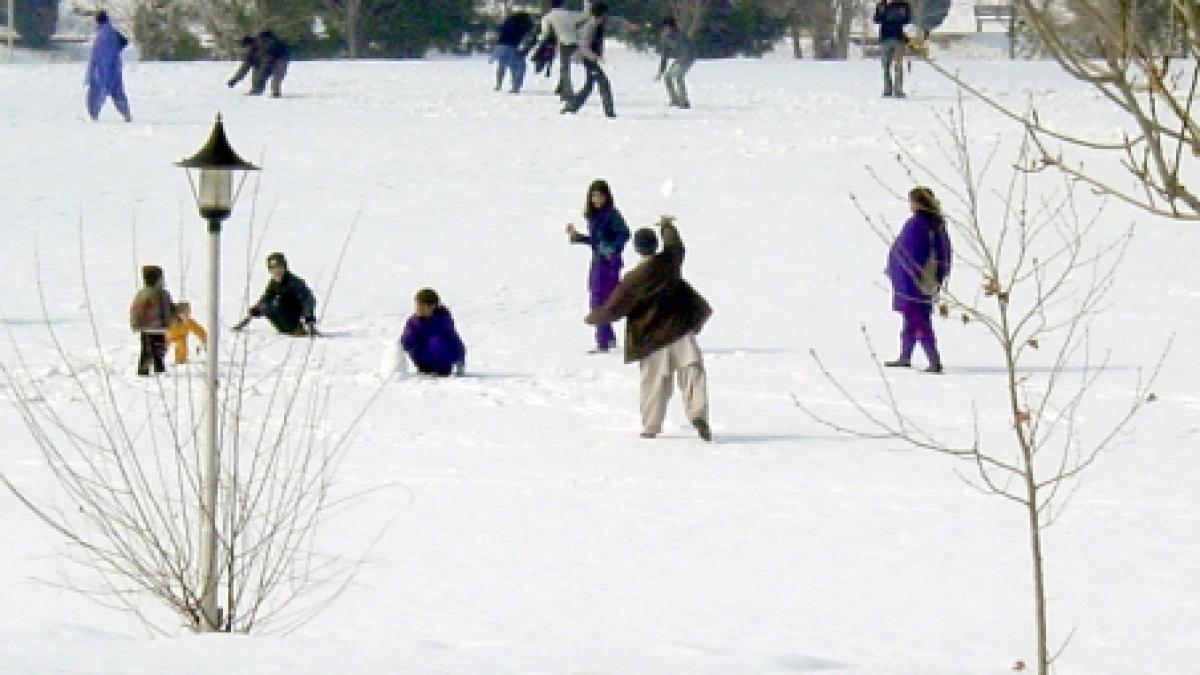 Un nou sport de iarnă a fost inventat la Serbările Zăpezii din Arieşeni - hocheiul cu mătura 