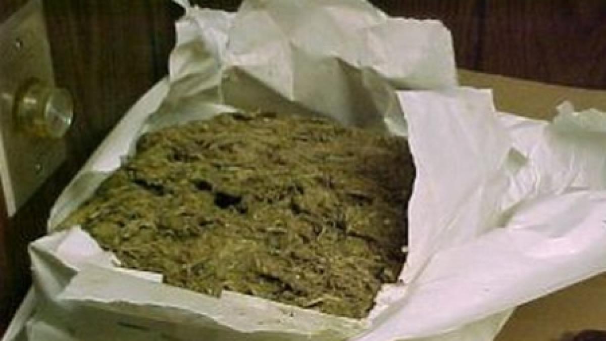 Italia: Şofer român de TIR, arestat pentru cele 650 de kilograme de marijuana găsite în vehicul