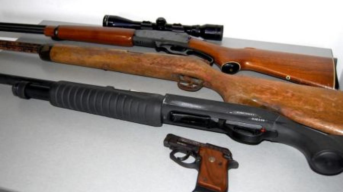 Profilul posesorului de armă din România. Numărul românilor care deţin arme a crescut cu 20.000 în 2011