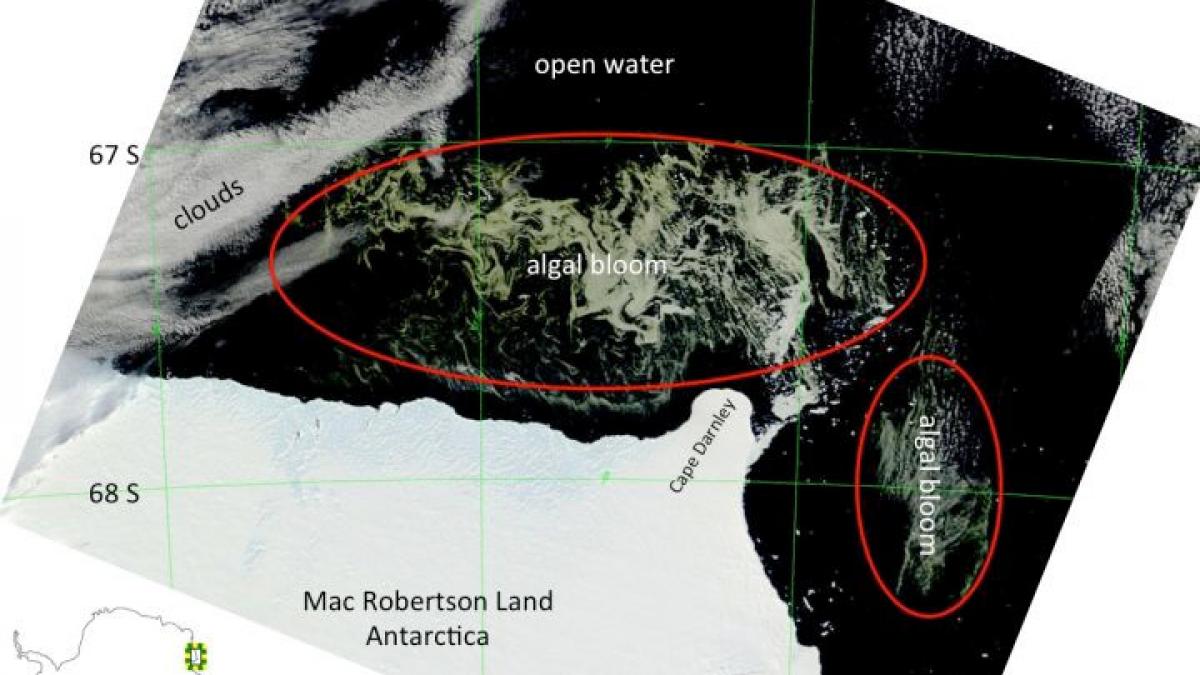 Ce se vede din spaţiu în mijlocul Oceanului. Imaginea pe care NASA nu se aştepta să o vadă