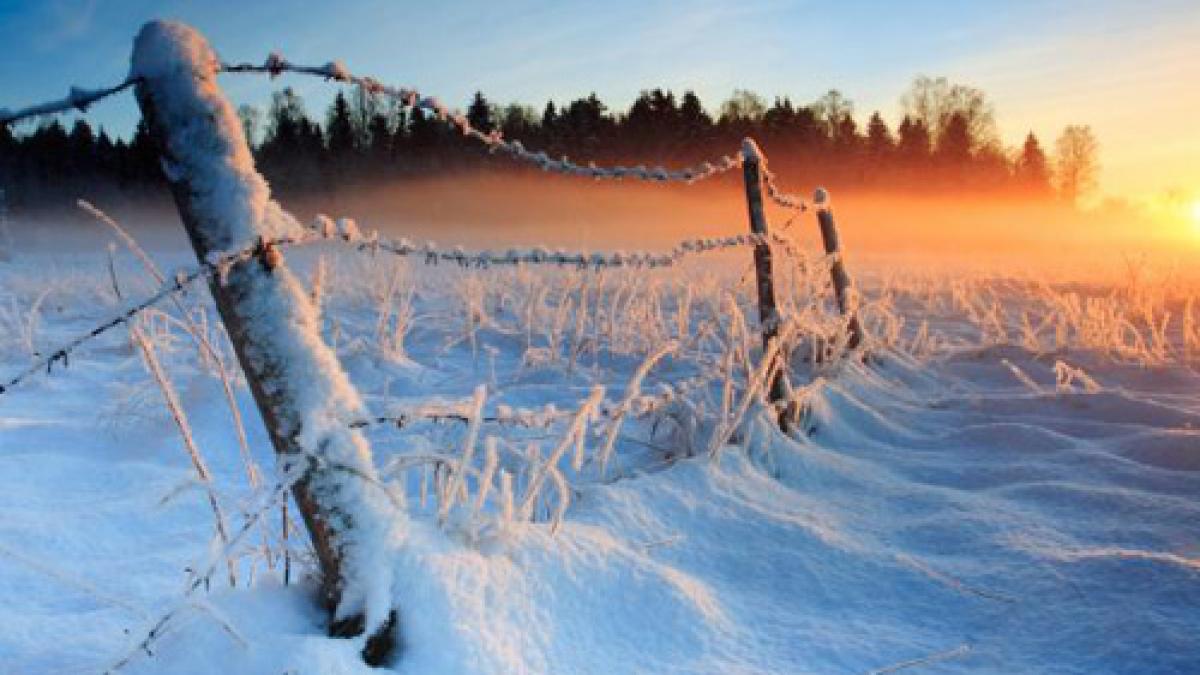 Vremea n-a ţinut cu doamnele de ziua lor. Temperaturi de Gerar în luna Mărţişorului. Vezi cum va fi vremea