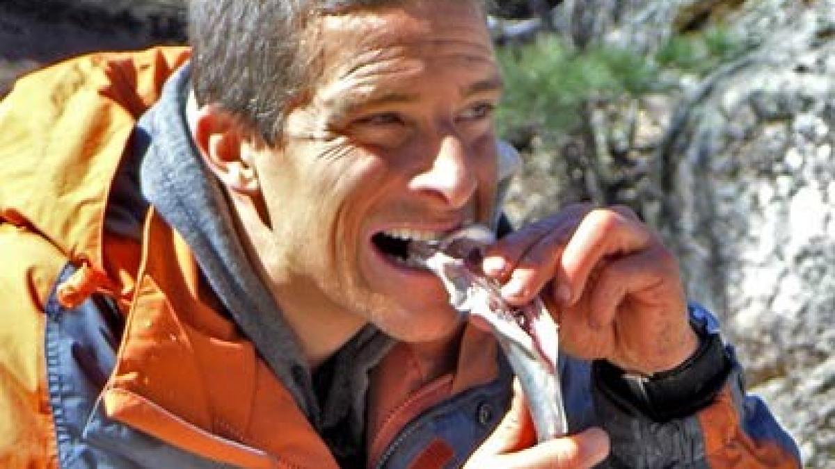 Nimeni nu şi l-ar fi imaginat în această situaţie. Detaliul neaşteptat pentru care Bear Grylls a fost concediat de Discovery