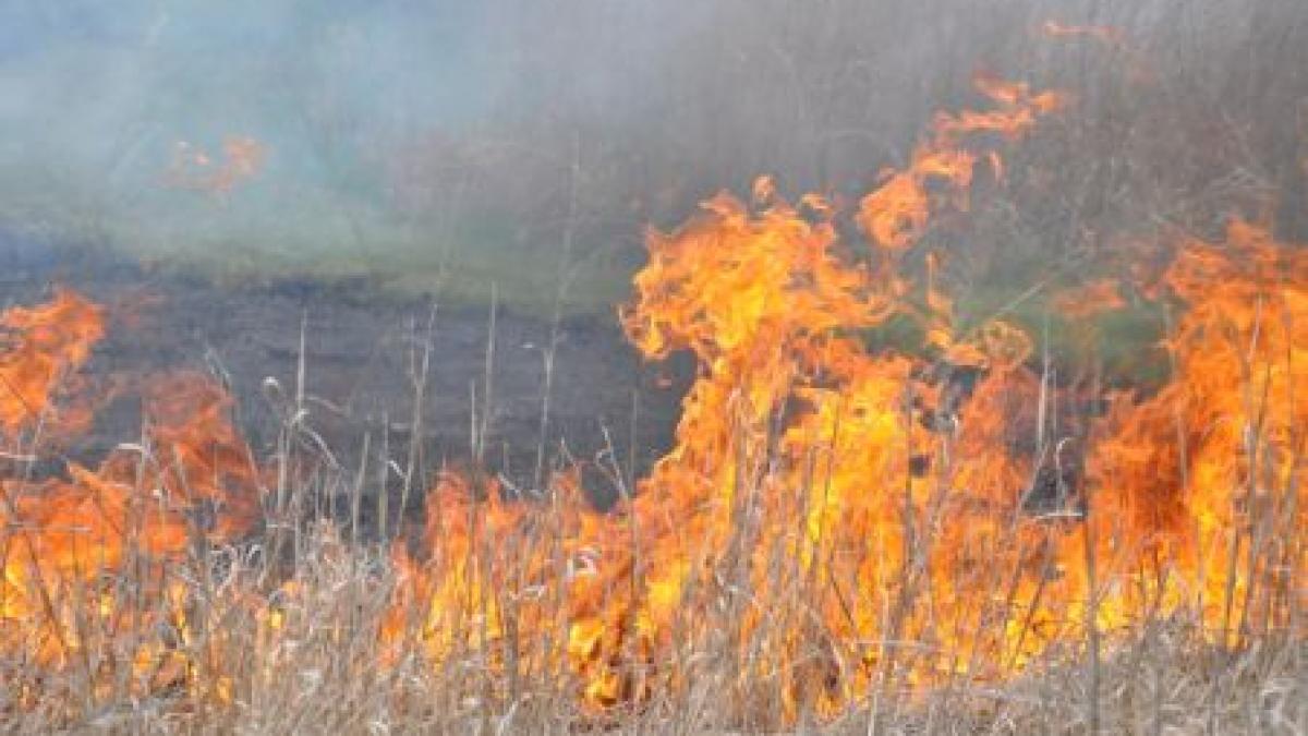 Alba: O femeie a decedat într-un incendiu pe care l-a provocat singură pentru igienizarea unui teren