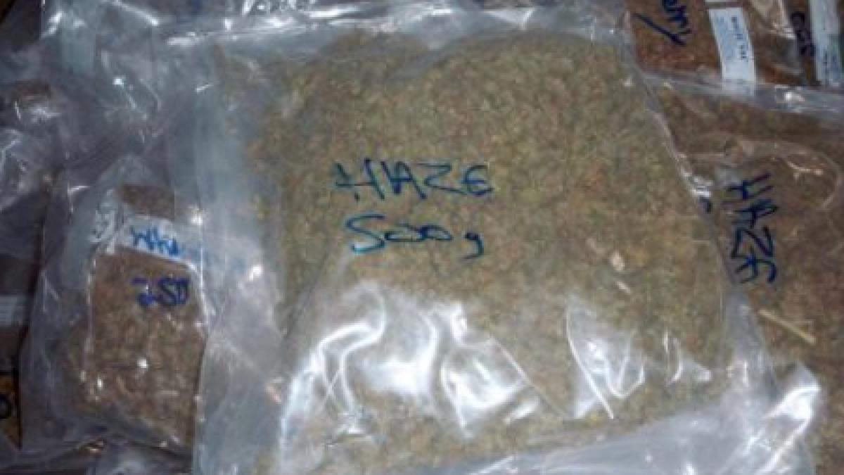 Hunedoara: Şapte persoane suspectate pentru vânzarea a 2 kg de cannabis, reţinute pentru trafic cu droguri de risc