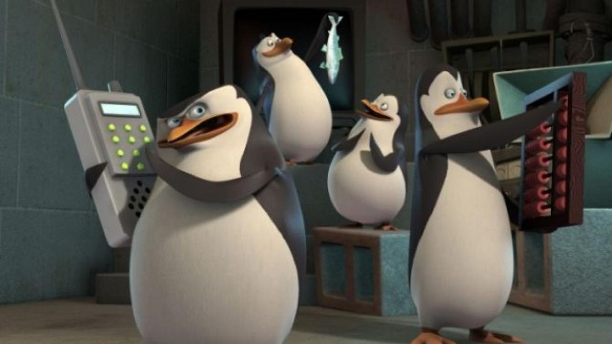 &quot;Just smile and wave, boys&quot; - varianta reală. Transmisie video non-stop, cu pinguini