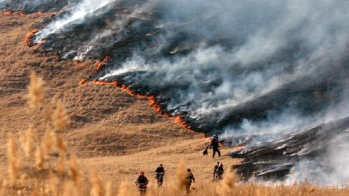 Dezastru natural din inconştienţa românilor. Sute de hectare de vegetaţie şi o pădure de pin, distruse de flăcări