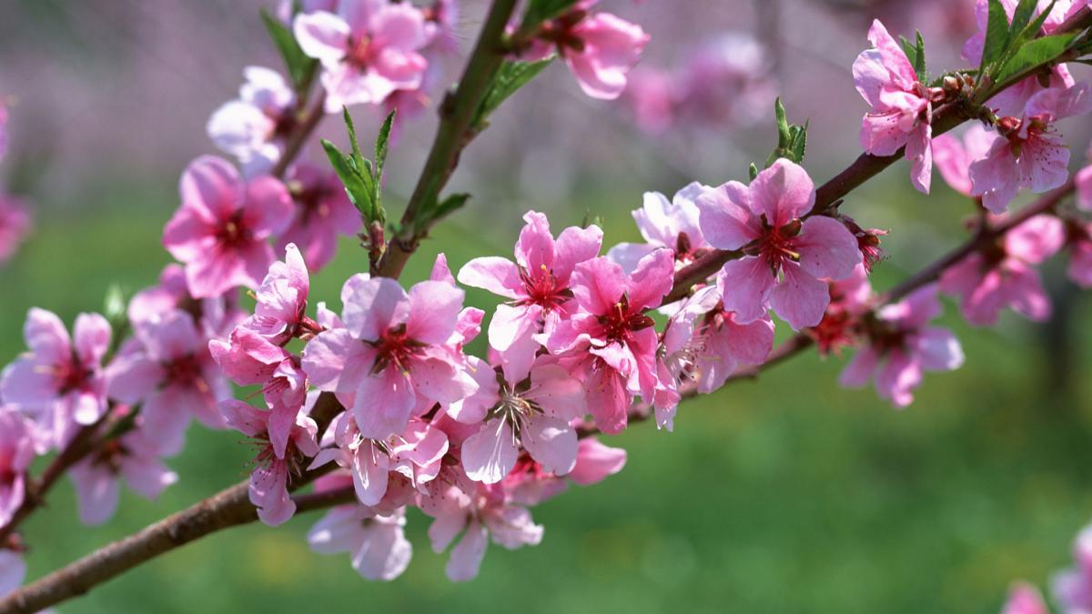 Ne vom întoarce la hainele groase sau ne vom bucura în continuare de vremea frumoasă? Prognoza meteo până în aprilie