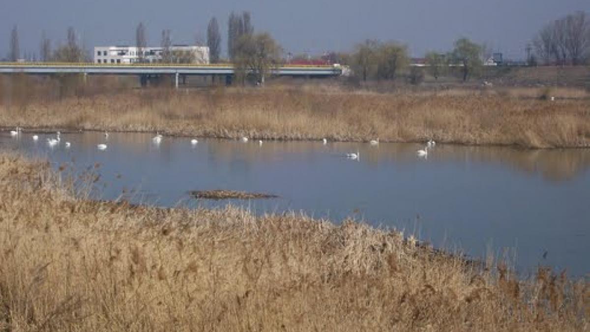 Cadavrul unei femei a fost descoperit în municipiul Bacău