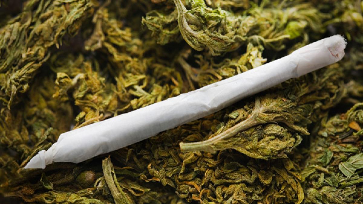 Mexic. Captură de 14 tone de marijuana, după mai multe operaţiuni ale armatei