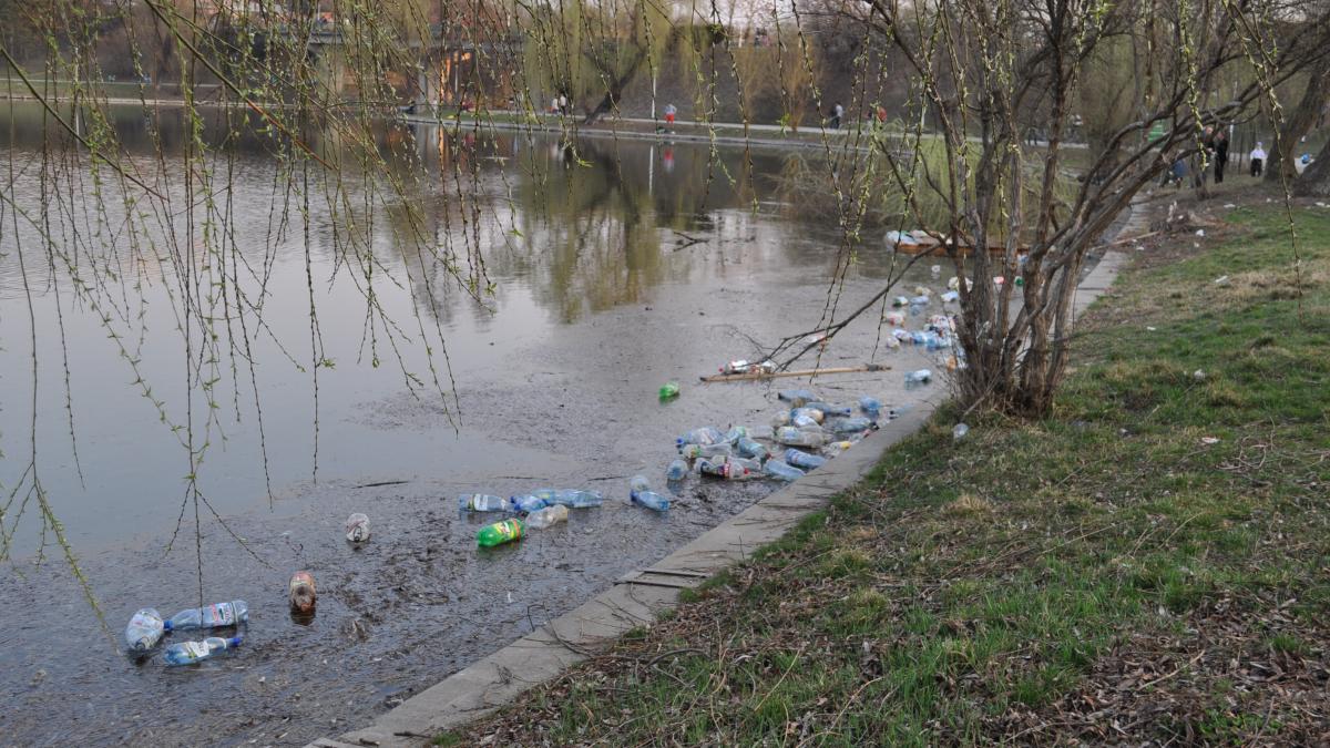 Admiraţi natura, inspiraţi aer proaspăt! Ce văd bucureştenii când ies la plimbare în parcuri