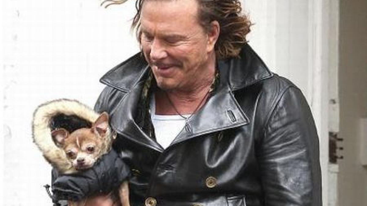 Mickey Rourke a adoptat un maidanez din România şi vrea să facă un adăpost pentru câinii vagabonzi din Bucureşti 