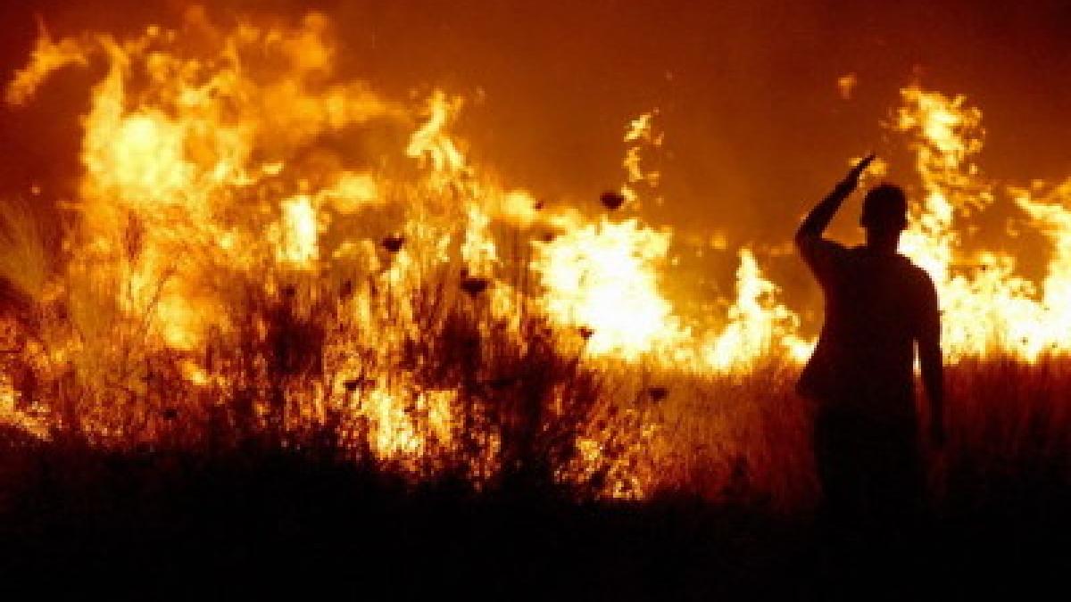 A ars de viu după ce a dat foc la vegetaţia uscată. Situaţia a scăpat de sub control, vântul a făcut intervenţia pompierilor un iad