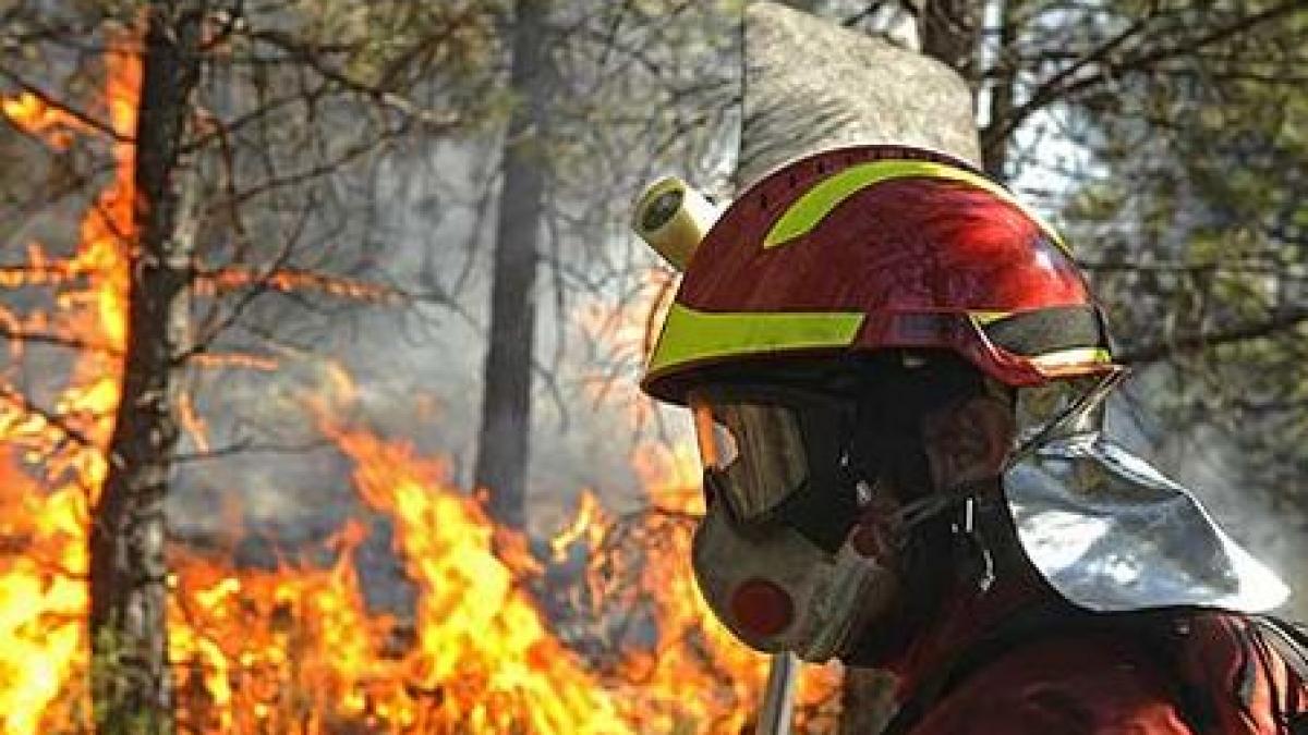 Incendii devastatoare în Spania. Peste 650 de hectare au ars în ultima săptămână