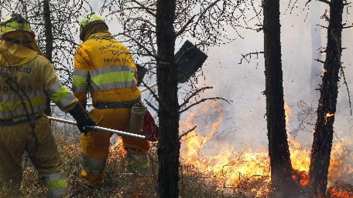 Spania. Peste 300 de pompieri se luptă pentru stingerea a 32 de incendii de pădure