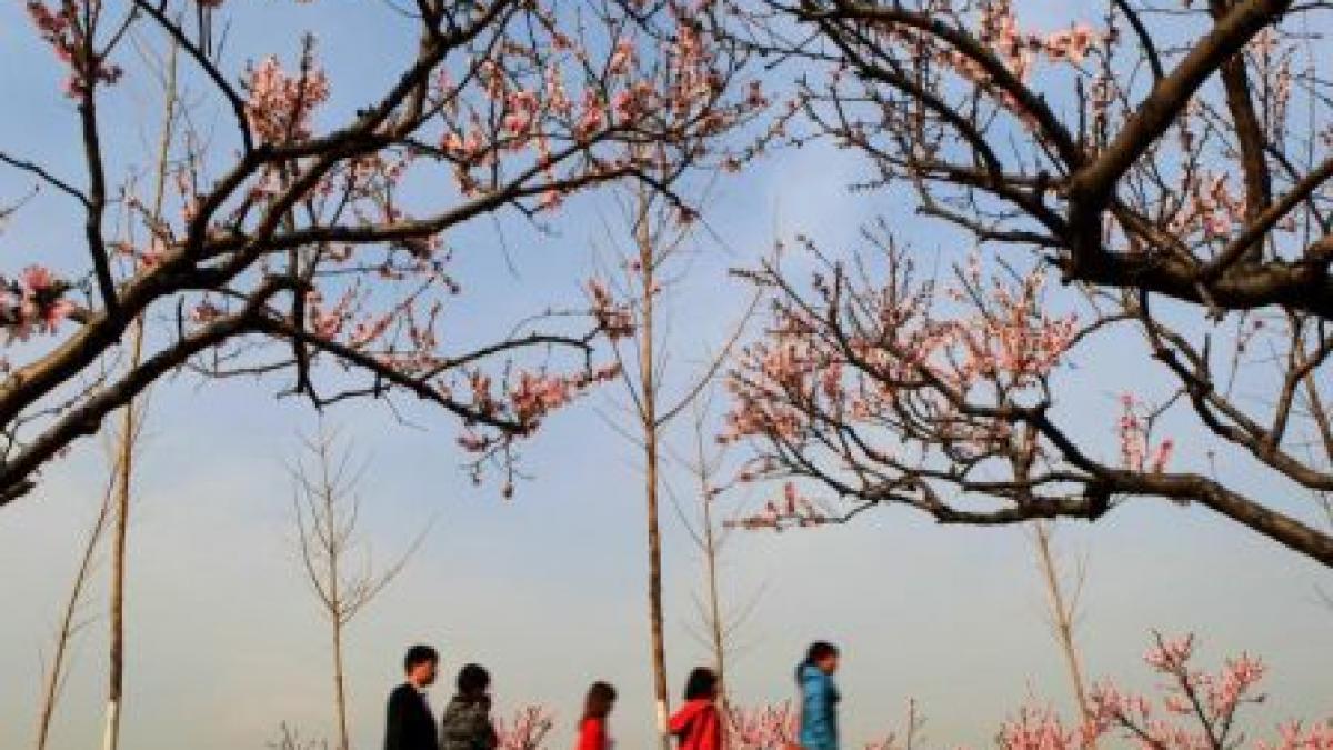 Paştele se apropie cu paşi repezi. Vezi dacă o să ai nevoie de umbrelă în noaptea de Înviere. Prognoza meteo