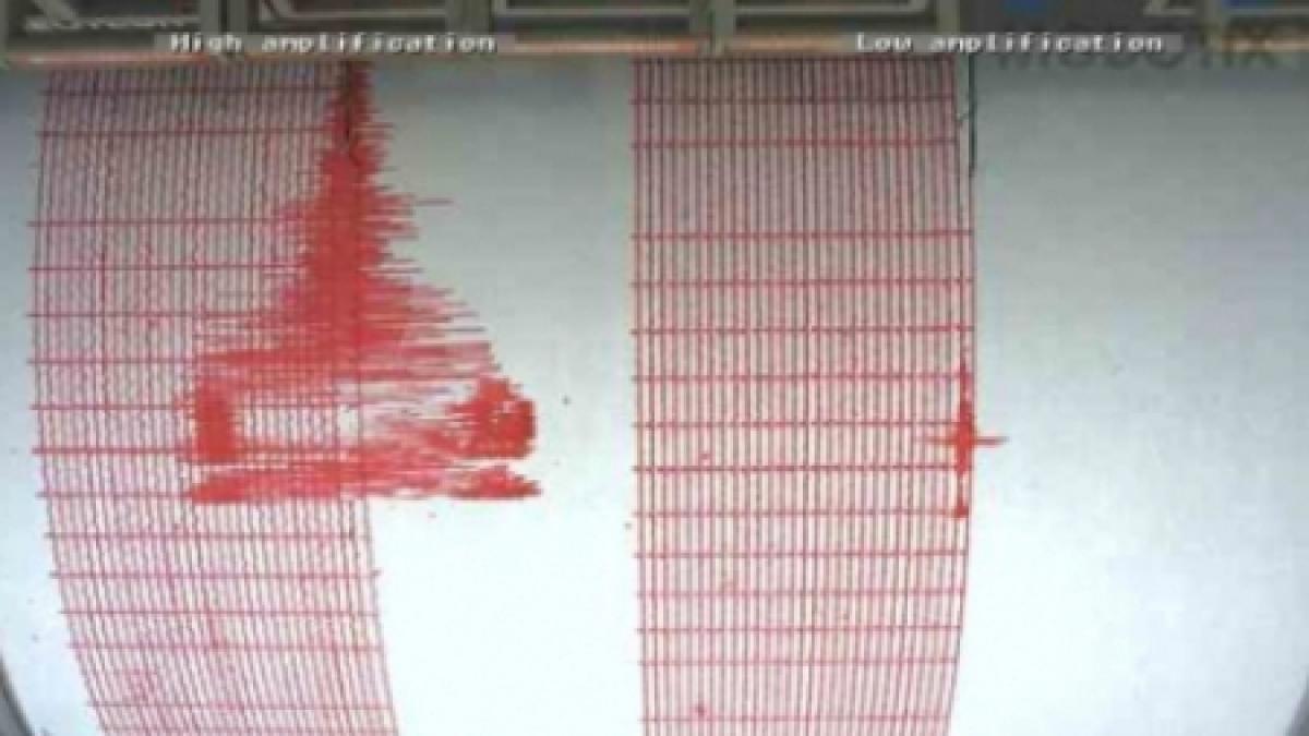 Cutremur de 6,6 grade în provincia indoneziană Papuasia