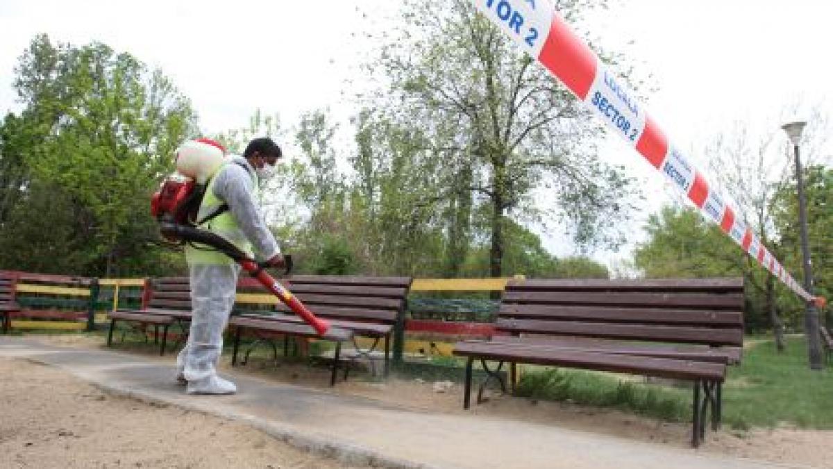 Operaţiunea &quot;Capuşa&quot; continuă! Înarmate cu insecticid, autorităţile au declarat război inamicului din iarbă