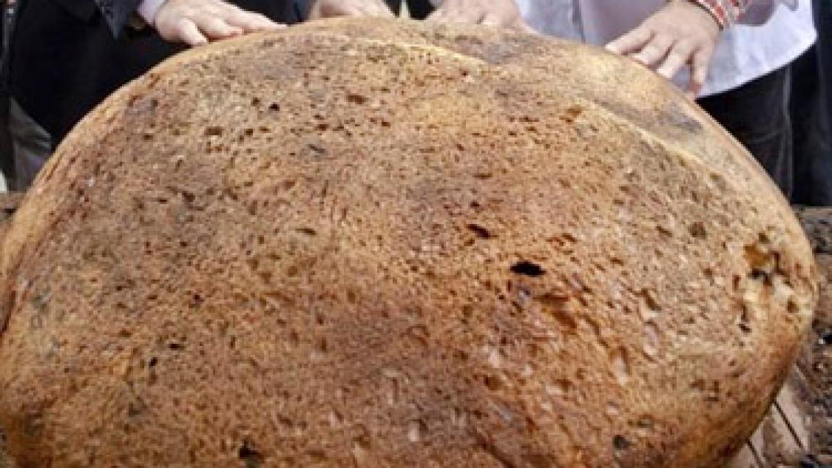 Sfântu Gheorghe. O brutărie locală a realizat o pâine de 107 kilograme