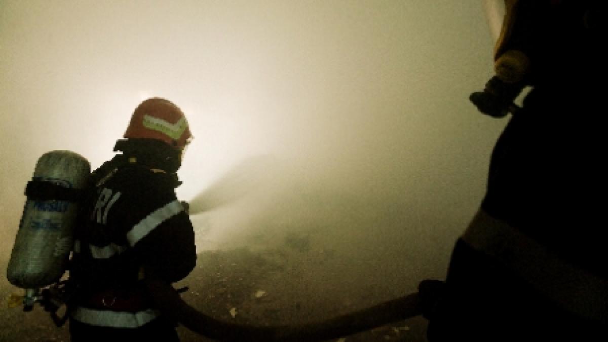 Incendiul care a aprins 30 hectare de pădure, în Suceava, a izbucnit de la un foc pentru grătar