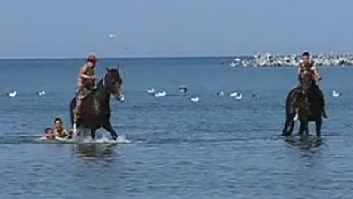 Mamaia, staţiunea de lux unde caii fac baie în mare laolaltă cu turiştii. Oare e ilegal? Dar sănătos?