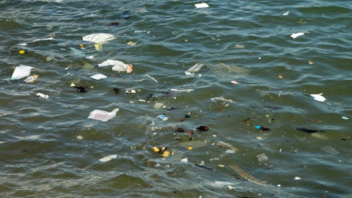 Apocalipsa de plastic: Deşeurile din Oceanul Pacific, de 100 de ori  mai multe ca acum 40 de ani