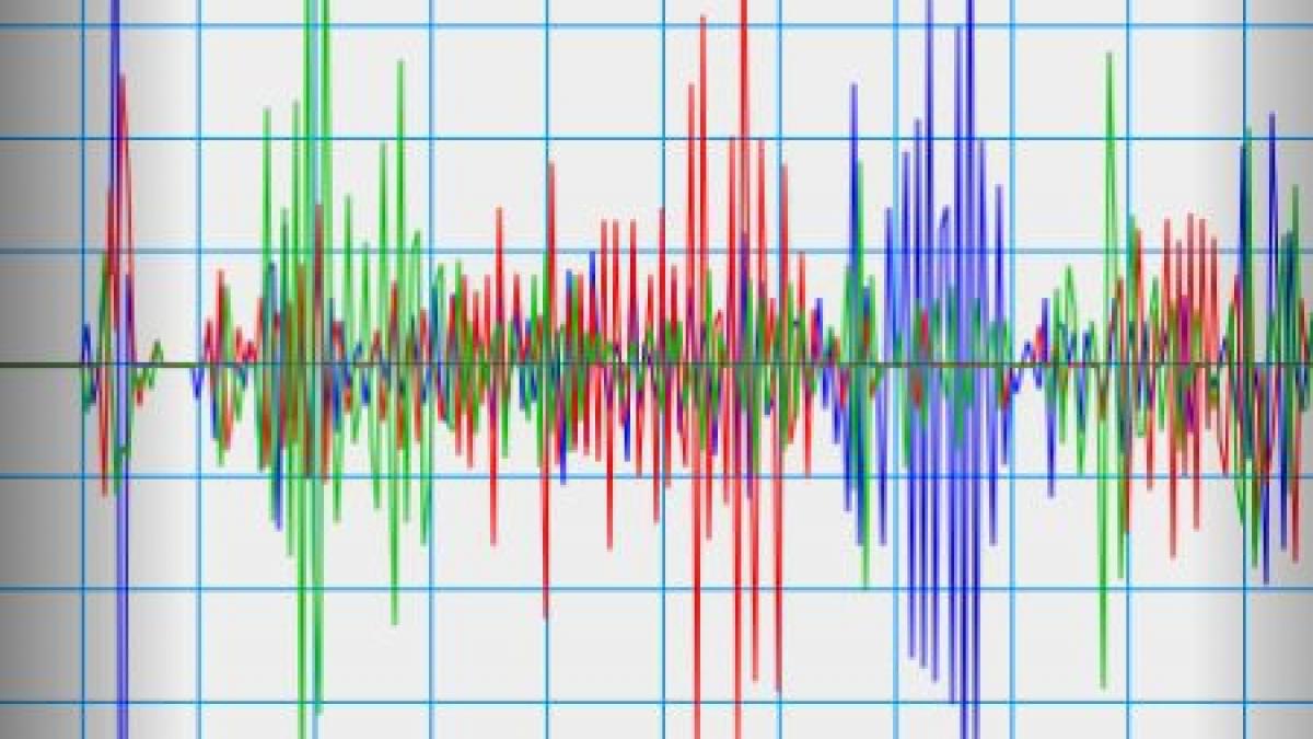 Un cutremur de 5,4 grade a lovit, astăzi, India