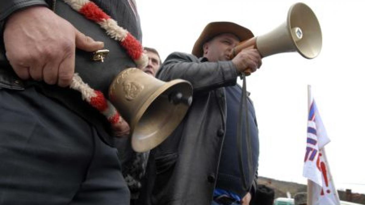 „Protestul vacii flămânde şi al poneiului ce mănâncă asfalt pe DN 1“ - manifestaţia inedită a crescătorilor de animale din Comarnic