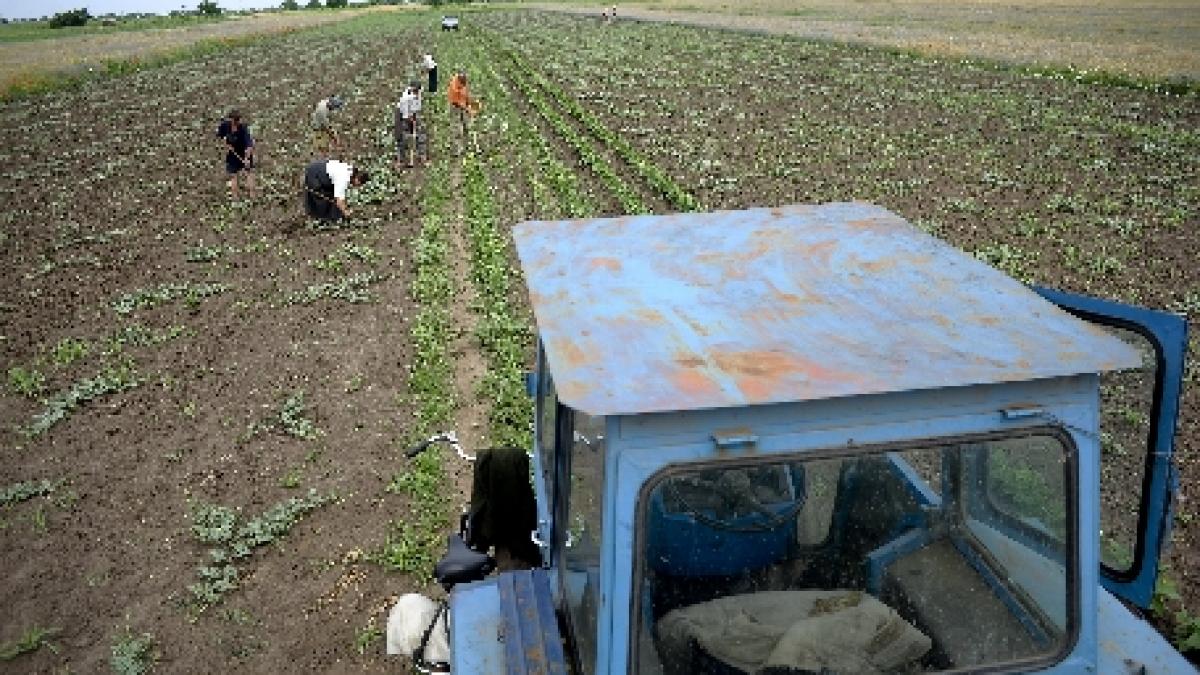 Vaslui. Un tânăr a ajuns la spital în stare critică după ce remorca unui tractor s-a răsturnat peste el