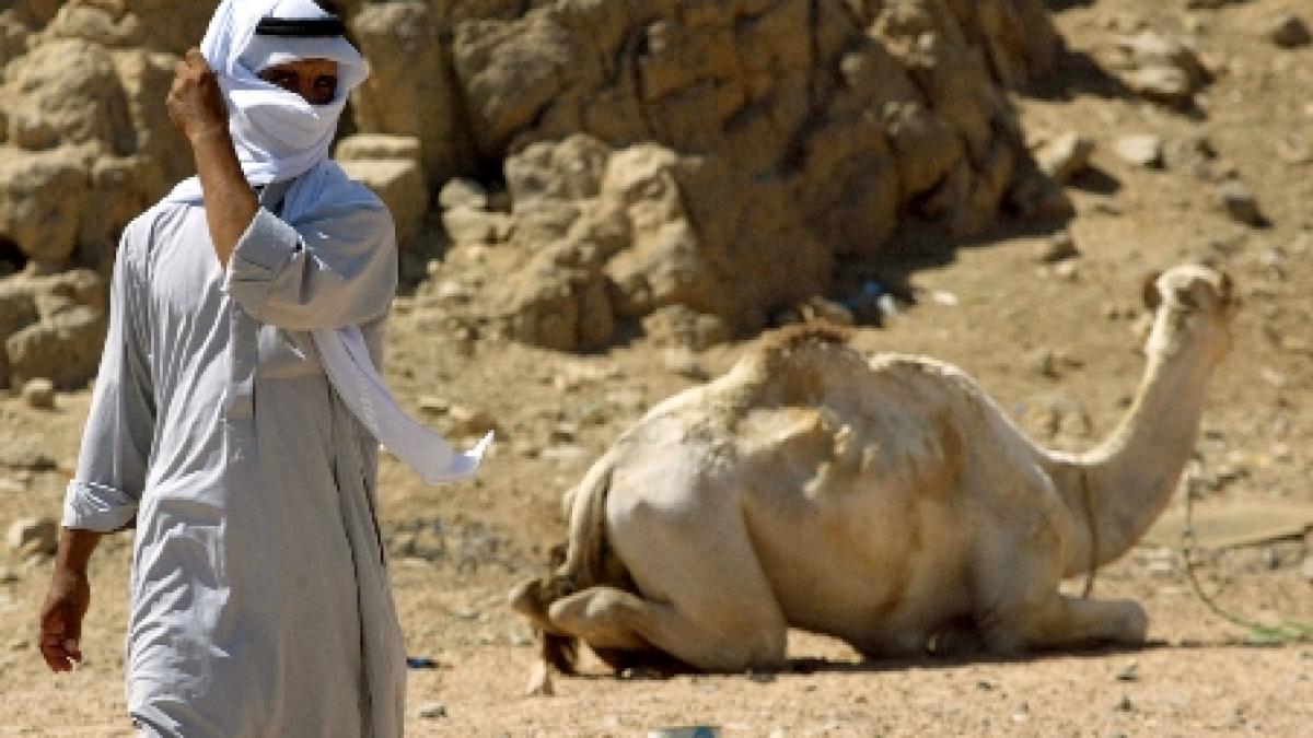 Doi turişti americani, răpiţi de beduini în peninsula egipteană Sinai