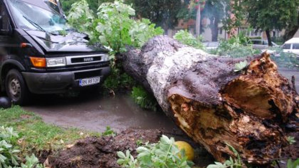 Copaci căzuţi, acoperiş smuls şi localităţi fără curent în urma unei furtuni la Bistriţa