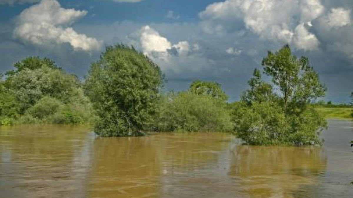 Inundaţii în Marea Britanie. În ultimele 24 de ore a plouat cât într-o lună