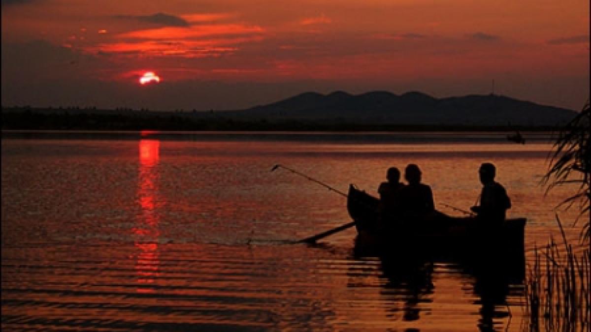 Cine sunt ghizii din Delta Dunării şi cât câştigă pe zi din plimbarea turiştilor prin sălbăticie