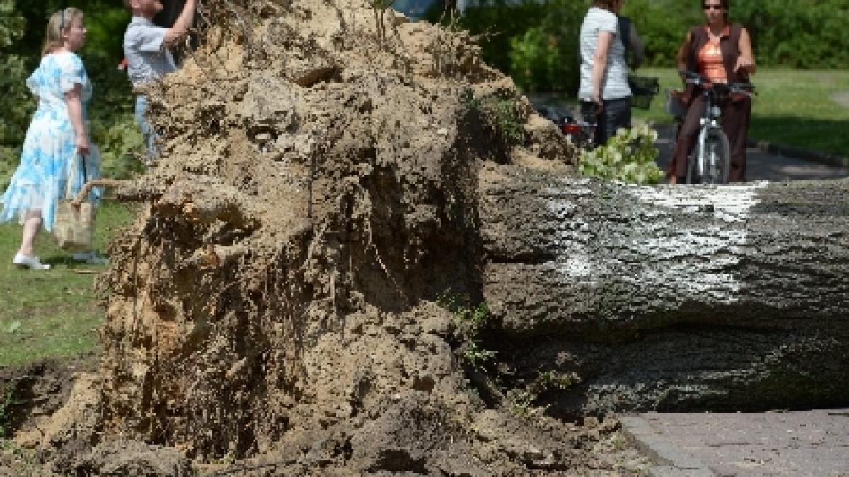 Patru morţi şi peste 100 de răniţi în Germania. Ce au lăsat în urmă furtunile