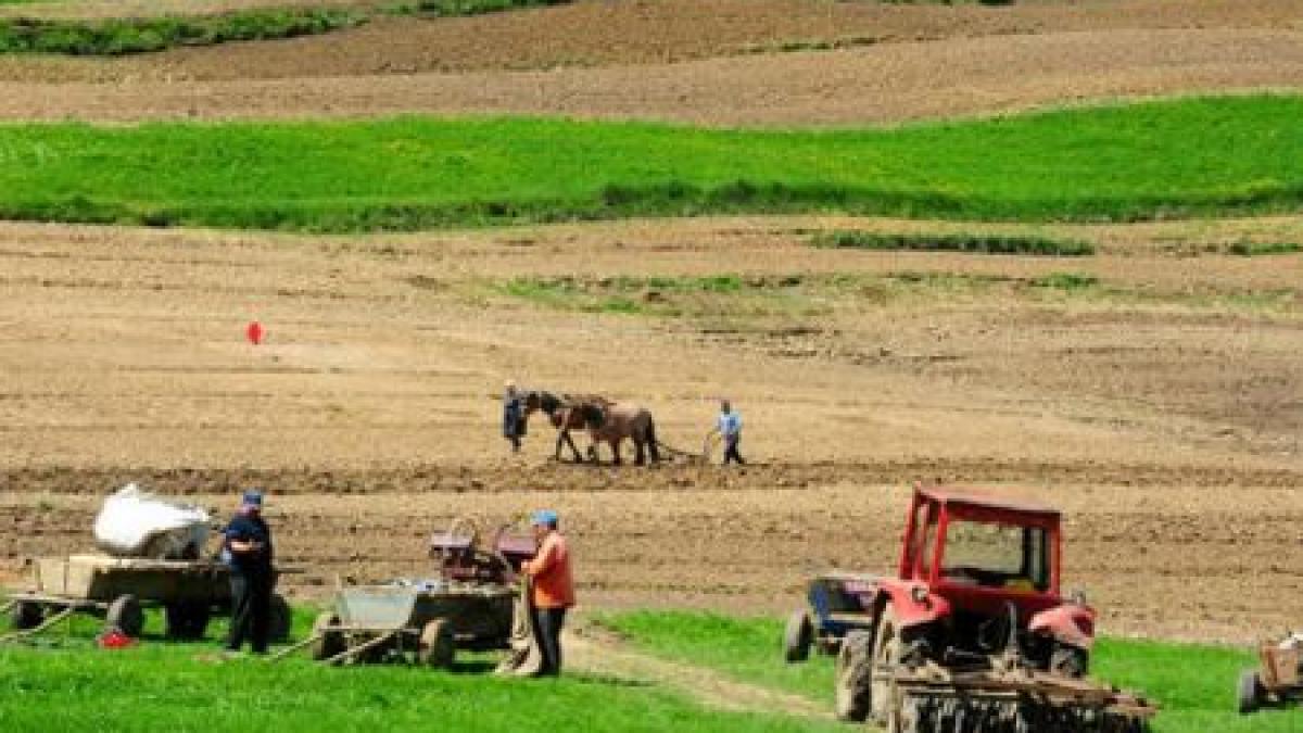 Ţăranii ar putea scoate România din criză. Câte persoane lucrează în mediul rural fără să plătească taxe