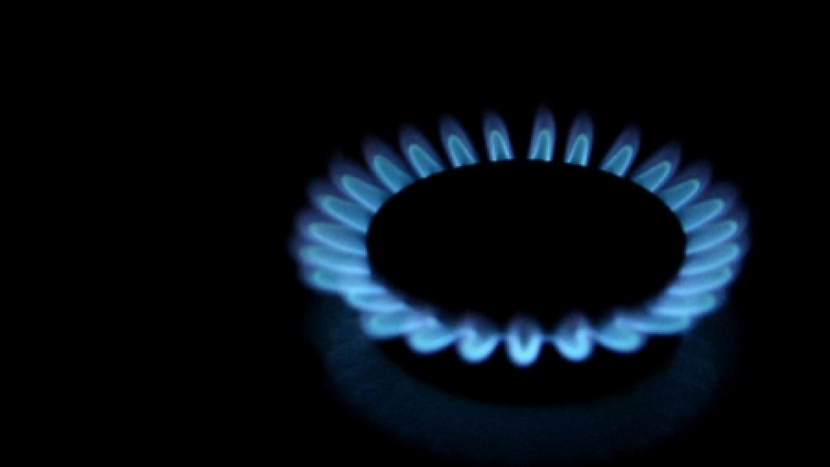 Băsescu a promulgat Legea energiei electrice şi a gazelor naturale