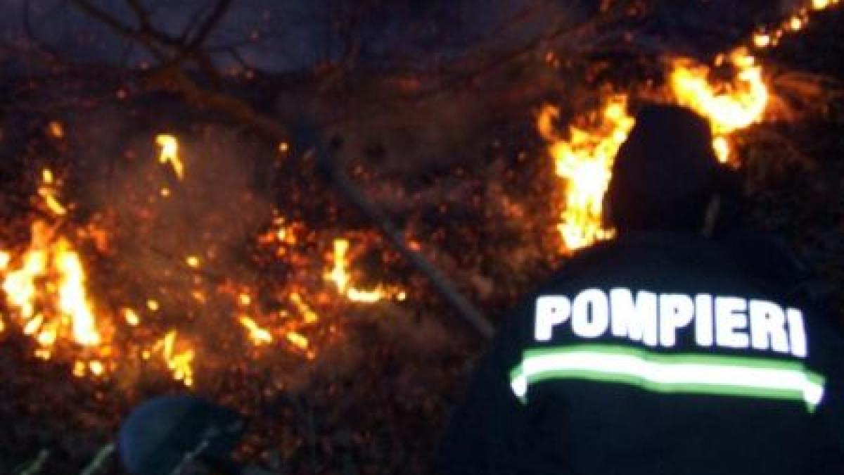 Incendiul din Harghita scapă de sub control. Numai o ploaie ar putea opri dezastrul