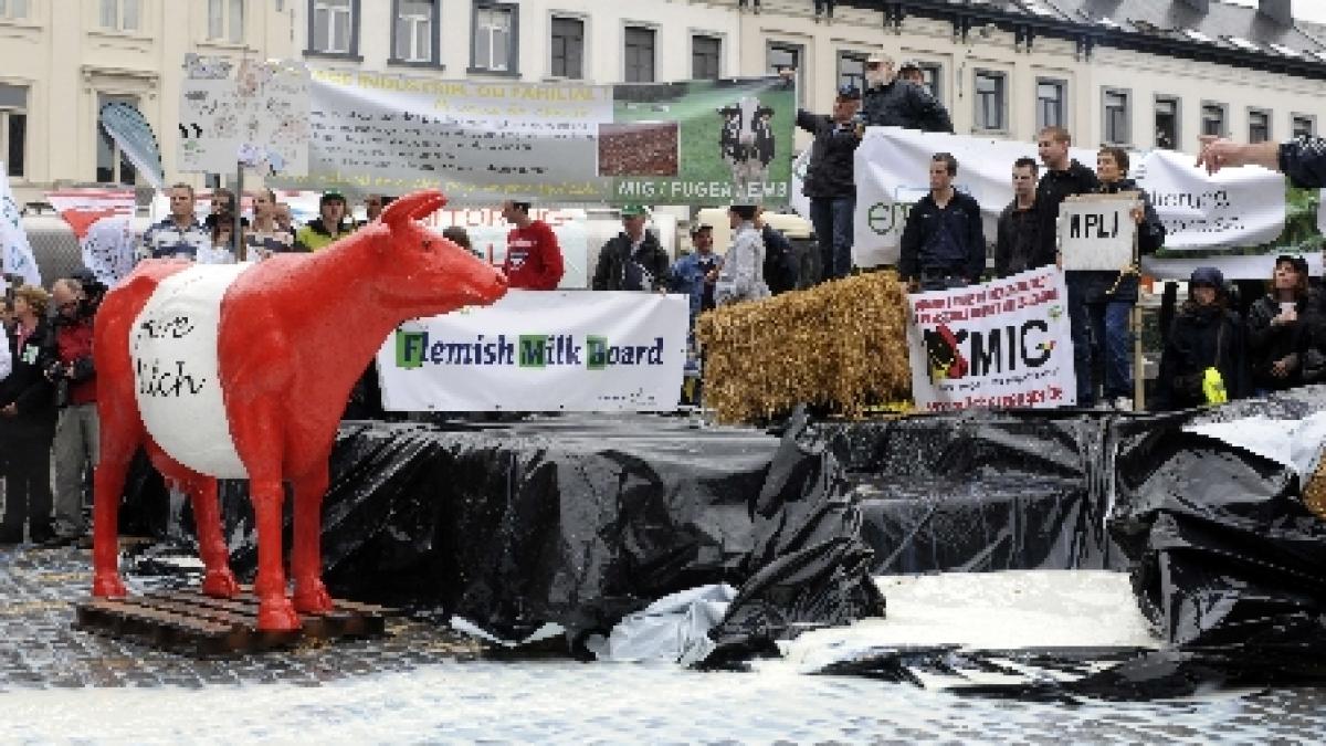 Protest inedit al fermierilor la Bruxelles. Au defilat cu tractoarele şi au vărsat lapte pe trotuar