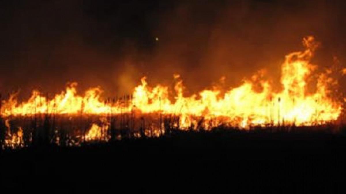 Incendii puternice de vegetaţie în Sardinia. Sute de turişti şi localnici au fost evacuaţi 