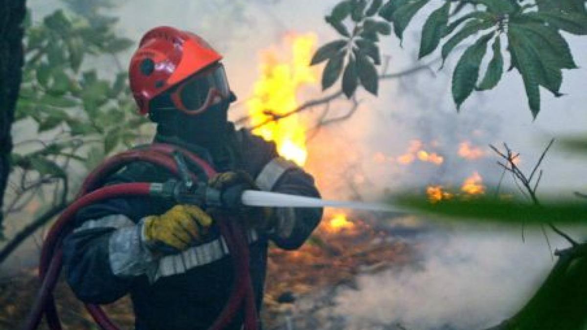 Incendiu de vegetaţie uscată şi pădure, în apropierea Parcului Naţional Cheile Bicazului - Hăşmaş