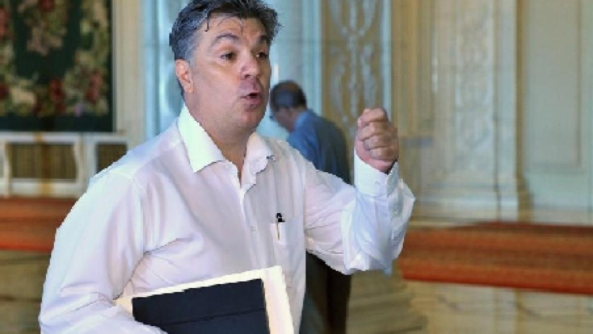 Zgonea: Parlamentul ar putea modifica orarul referendumului